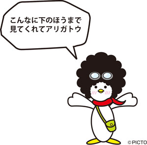picty02.jpg