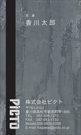 CT-005