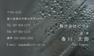 CY-009