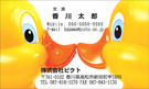 PY-019