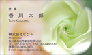 フラワー画像