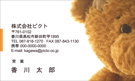 JY-005